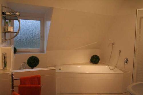 Фото Hotel Bellevue