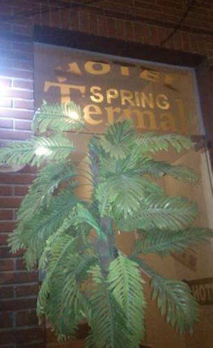 Фото Termal Spring Hotel Boutique