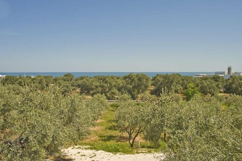 Внешний вид отеля Masseria Spina Resort в Монополях, фото 4