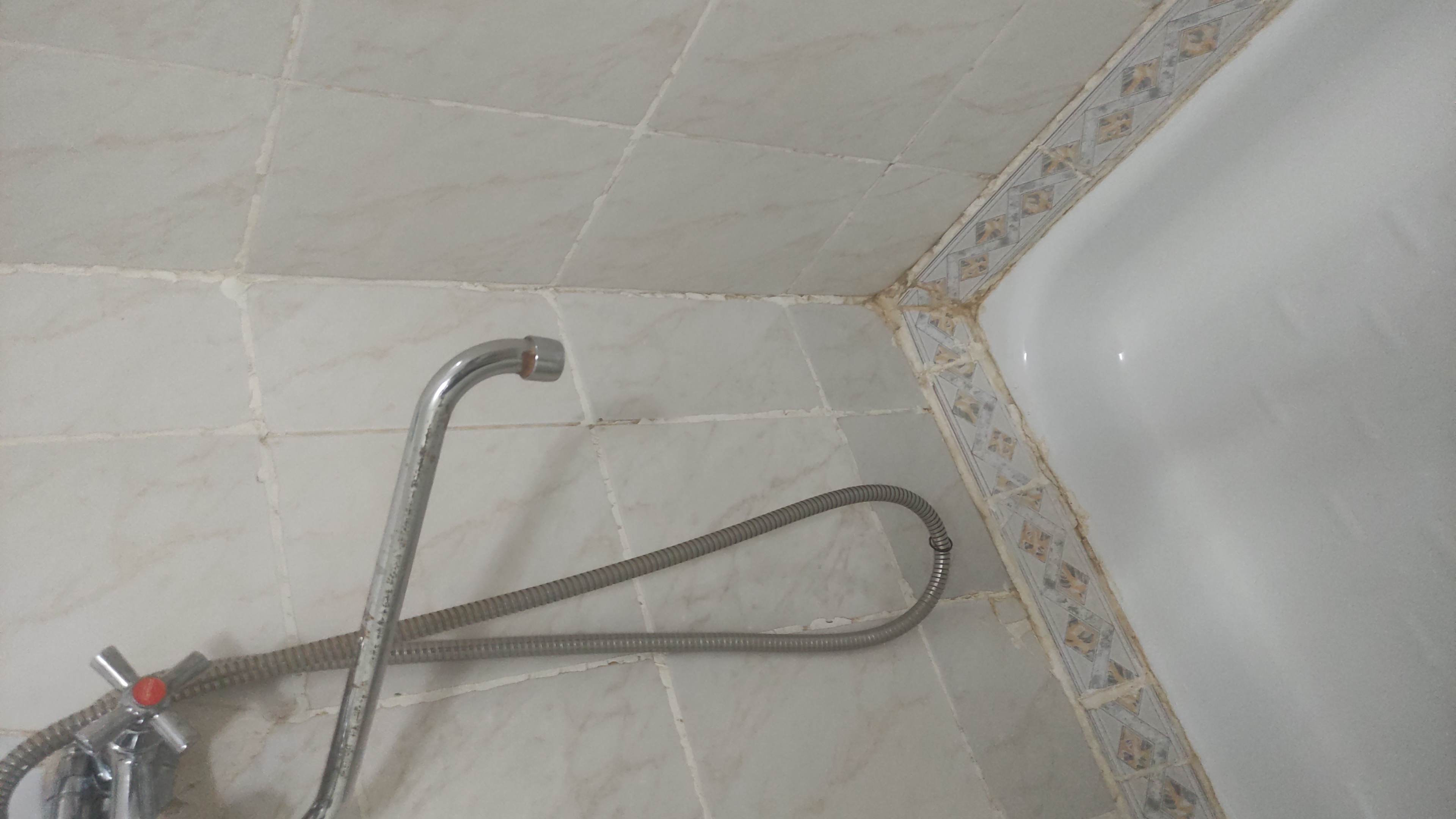 Фото Зелёная