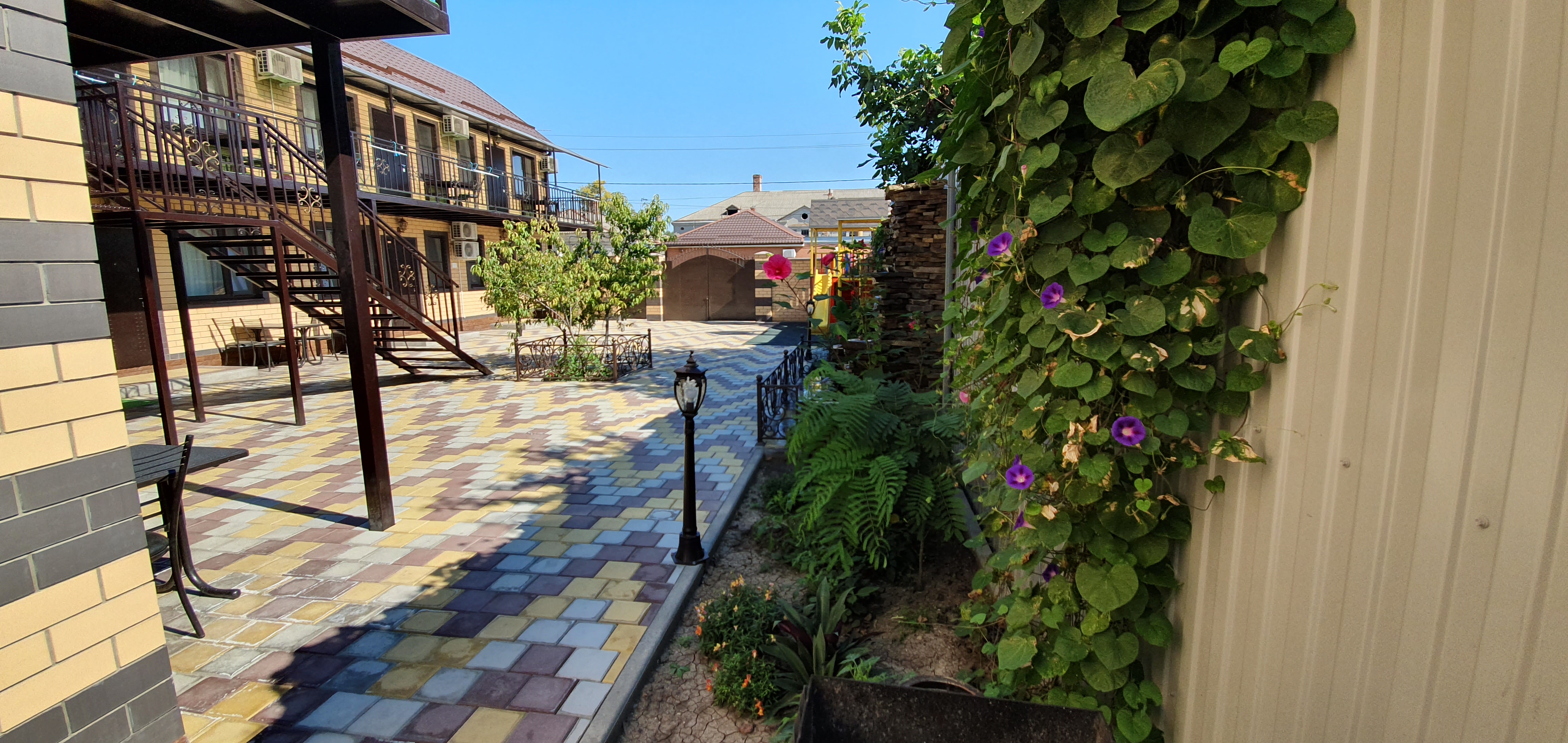 Фото Персик