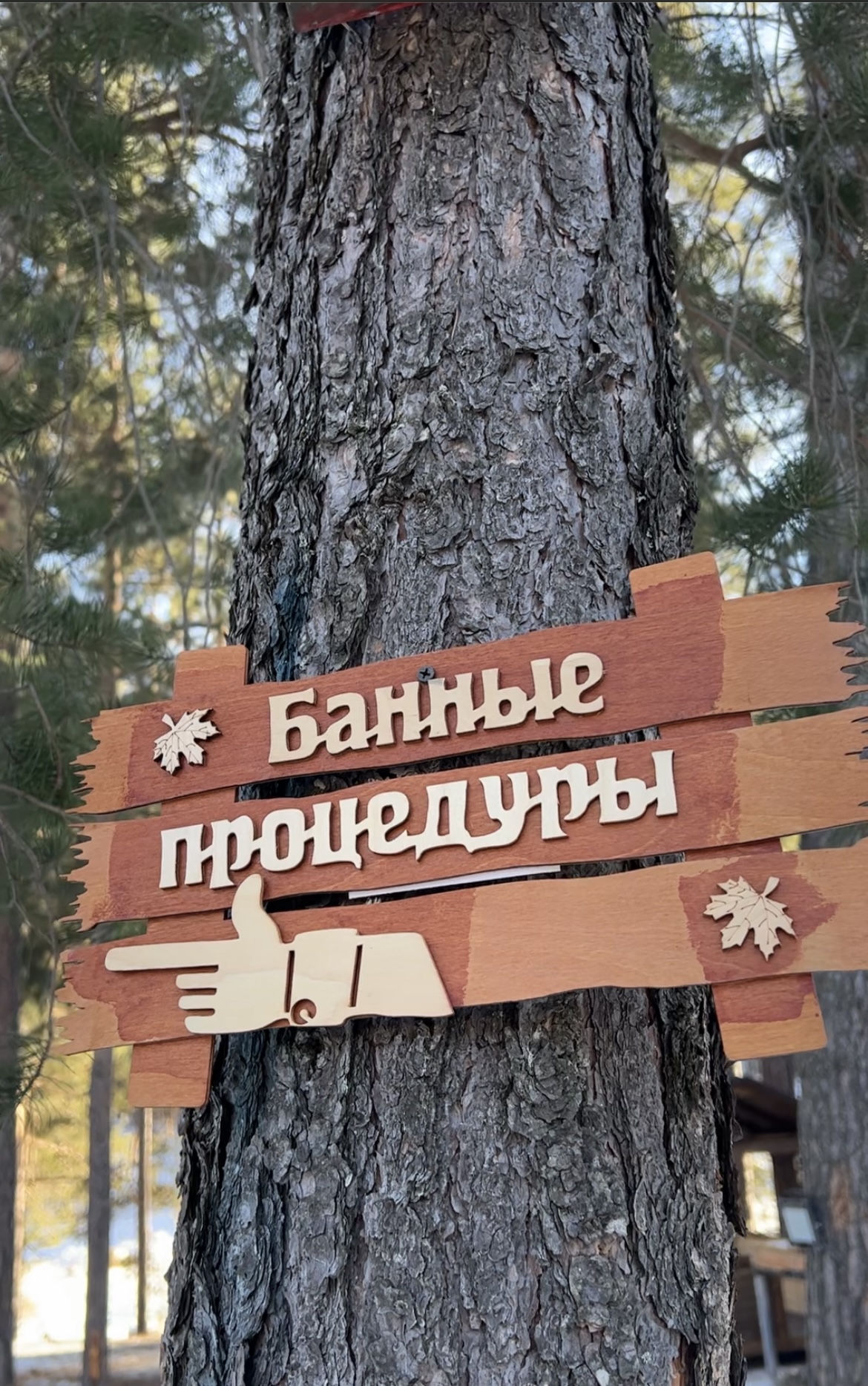 Фото Любимое место