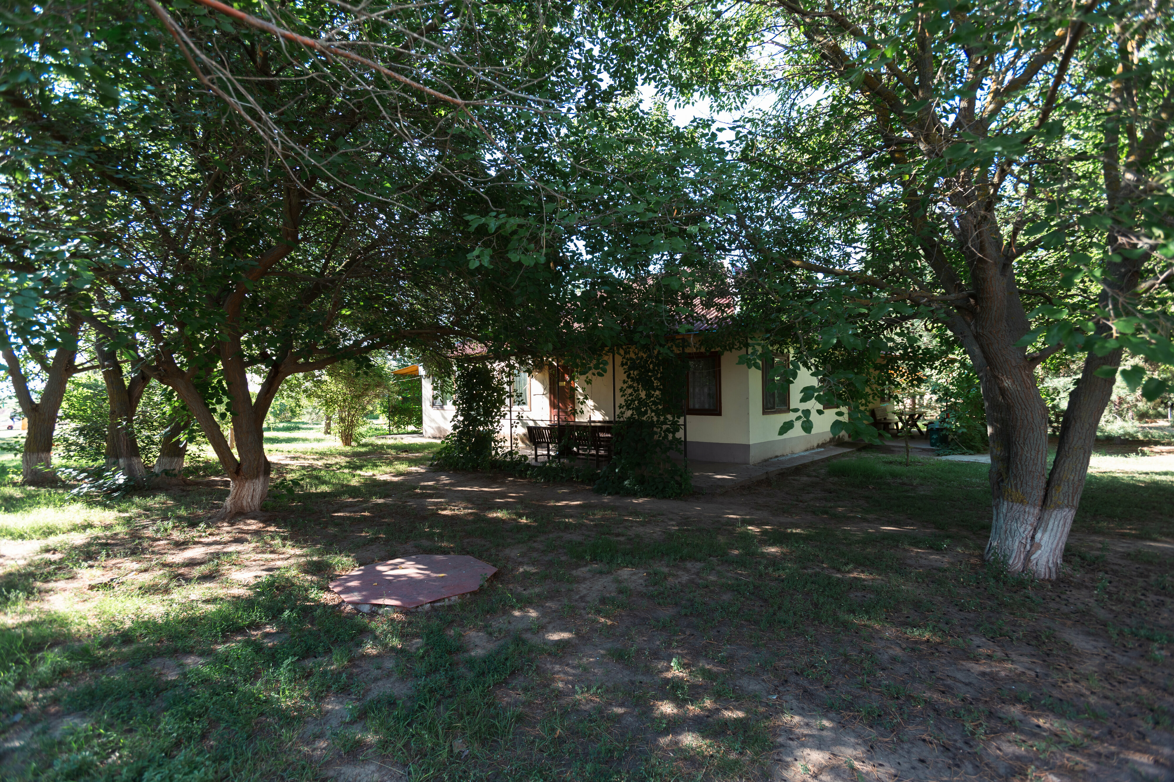 Фото Бережок