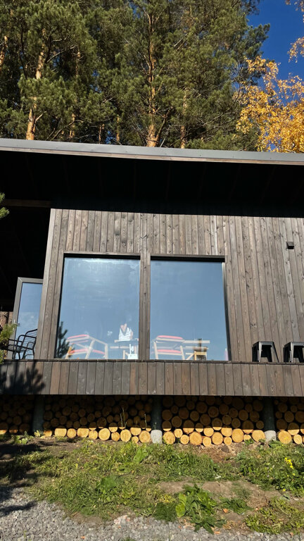 Фото Блэк пайн