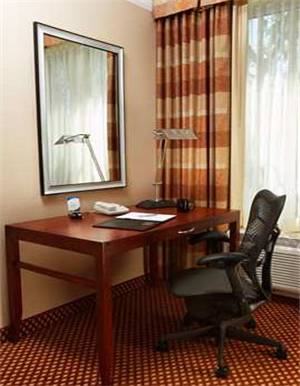 Фото Hilton Garden Inn Houston/The Woodlands