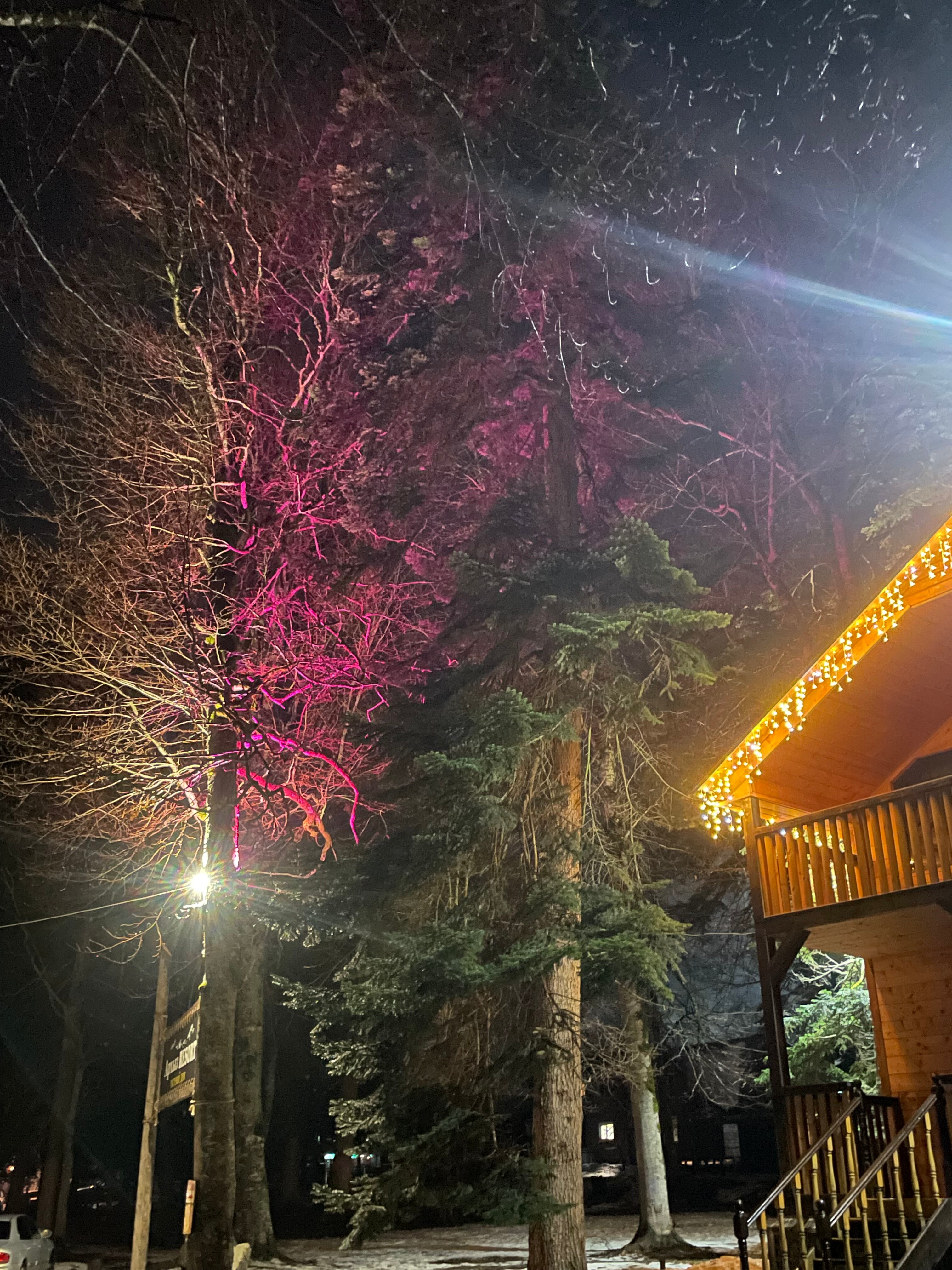 Фото Архыз Резорт