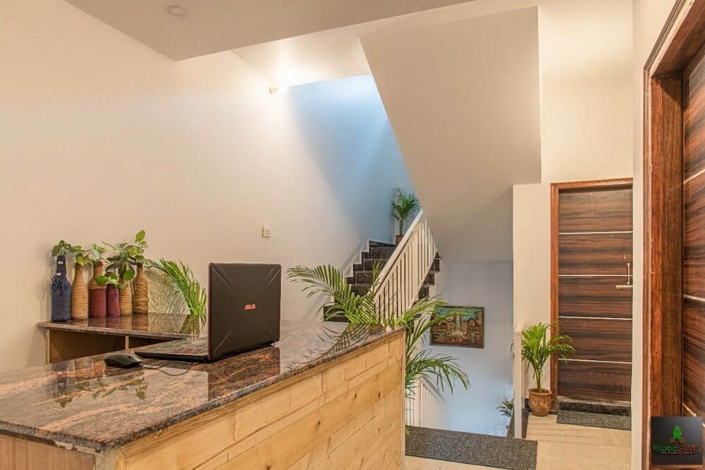 Фото The Cloud Berry