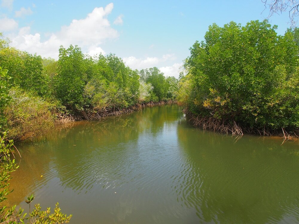 Фото Wagait Beach Holiday Houses