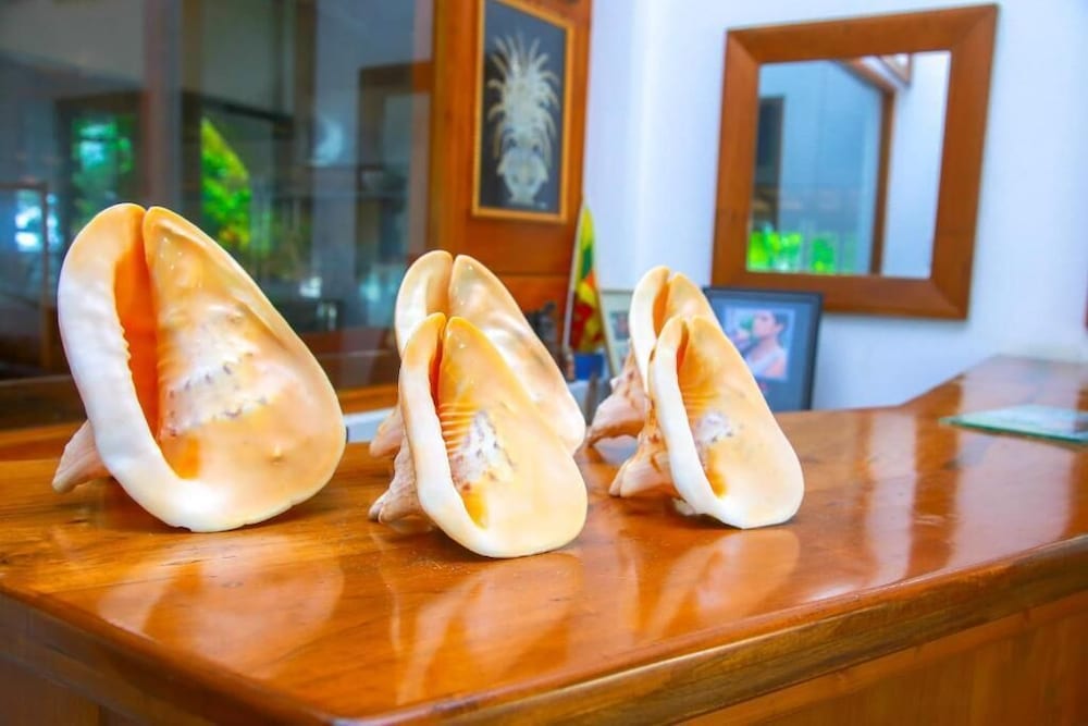 Фото Surf Sea Breeze