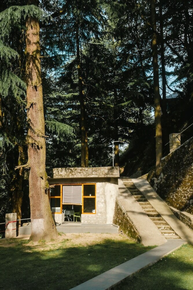 Фото BluSalz Homes - The Pine Tree Dalhousie