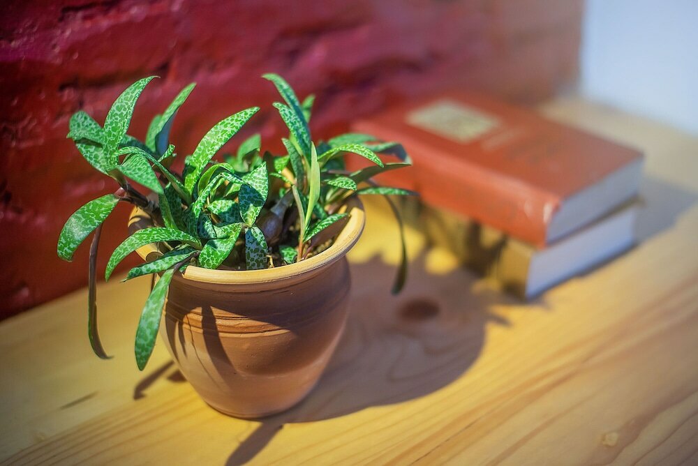 Фото HB apartments Sartichala