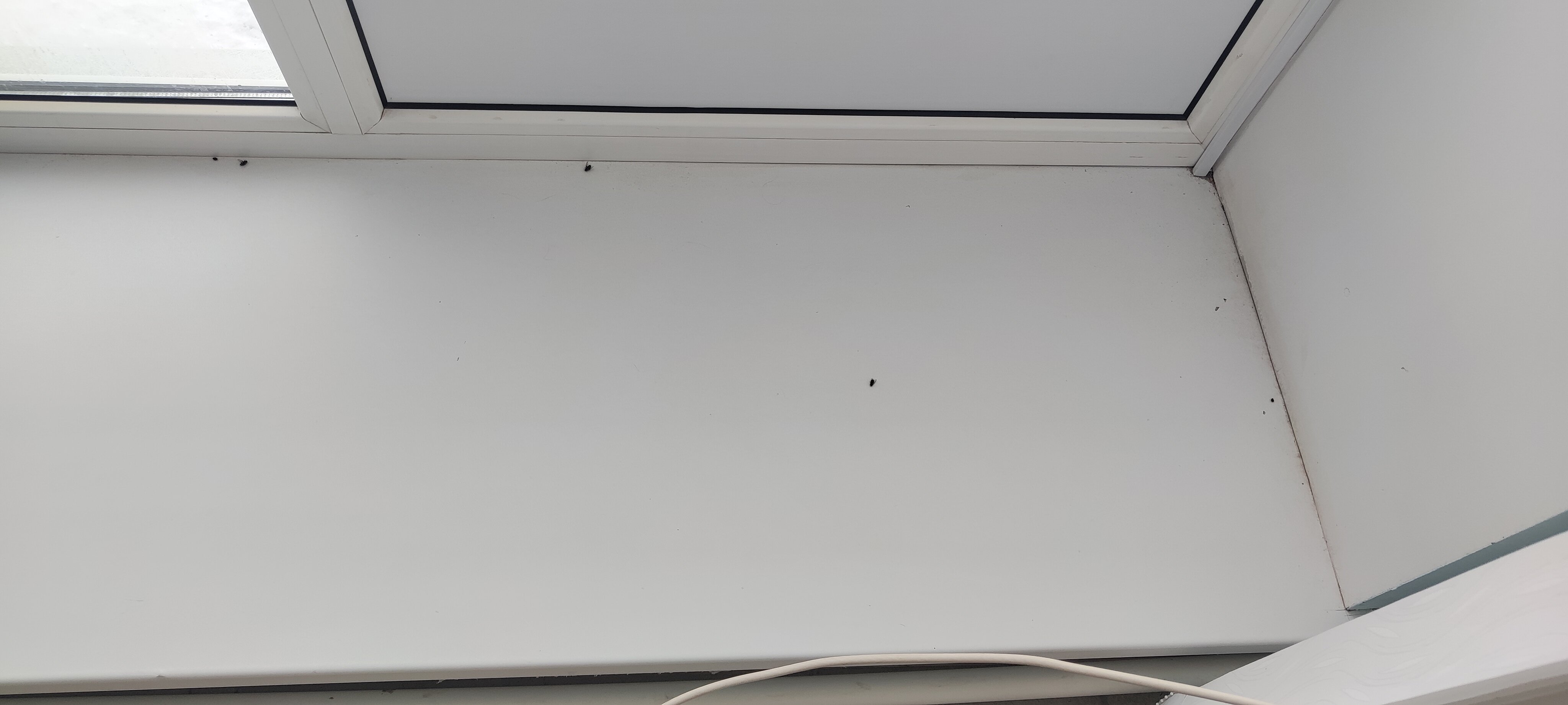 Фото Гостиный двор