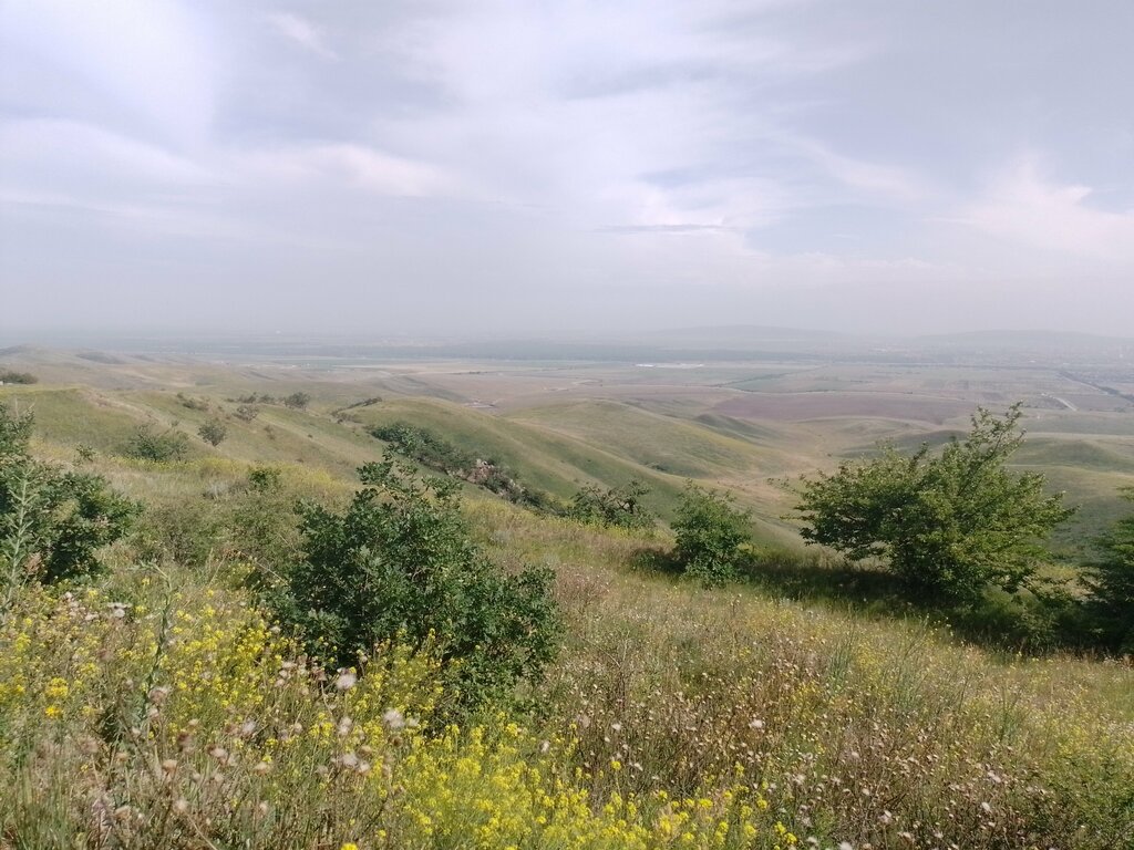 Горная вершина Гора Ястребиная, Чеченская Республика, фото