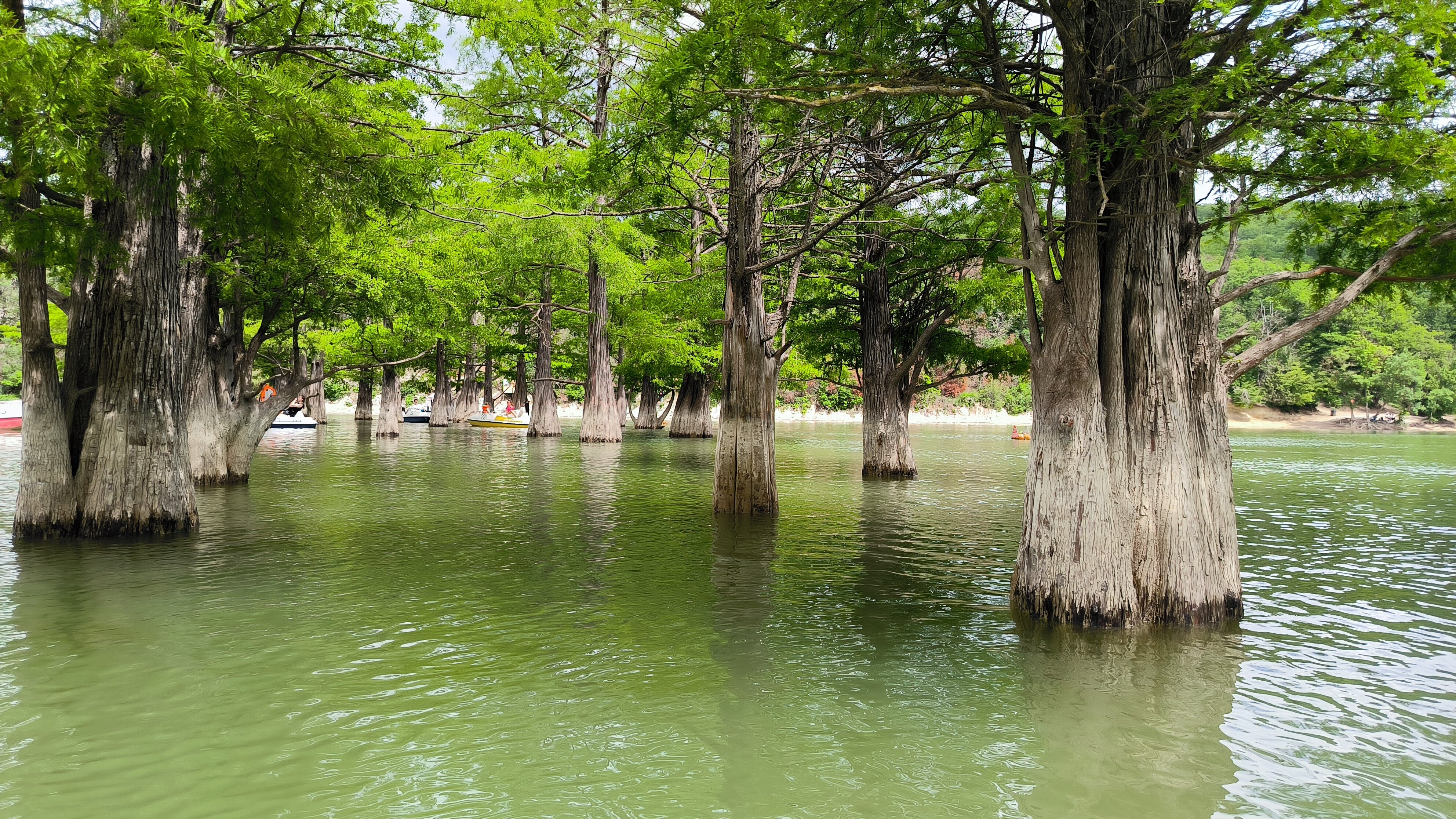 Фото Море и солнце
