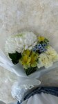 AS flowers (Arkhangelsk, Uritskogo Street, 2) flower shop