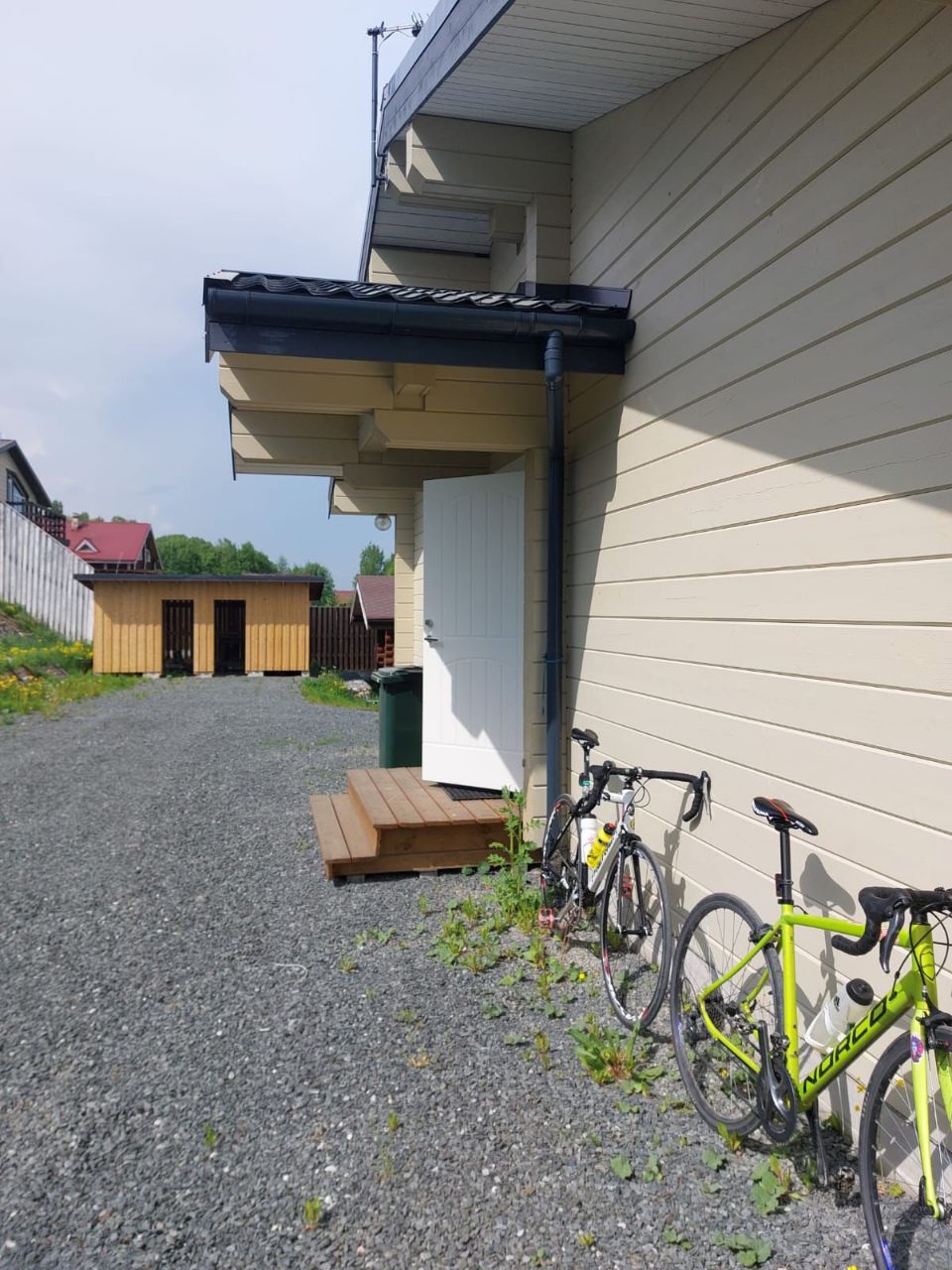 Фото Таволга