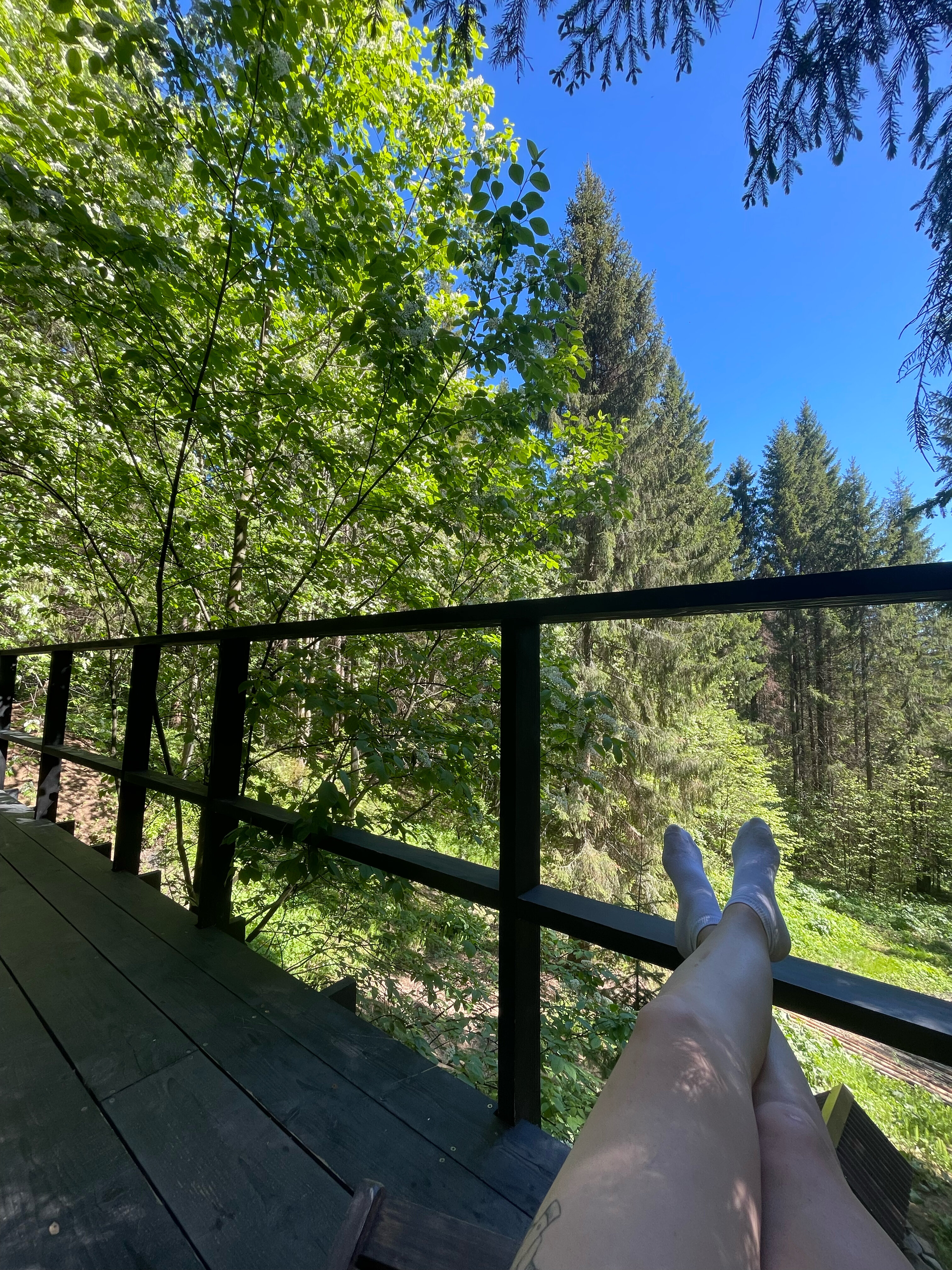 Фото Опушка