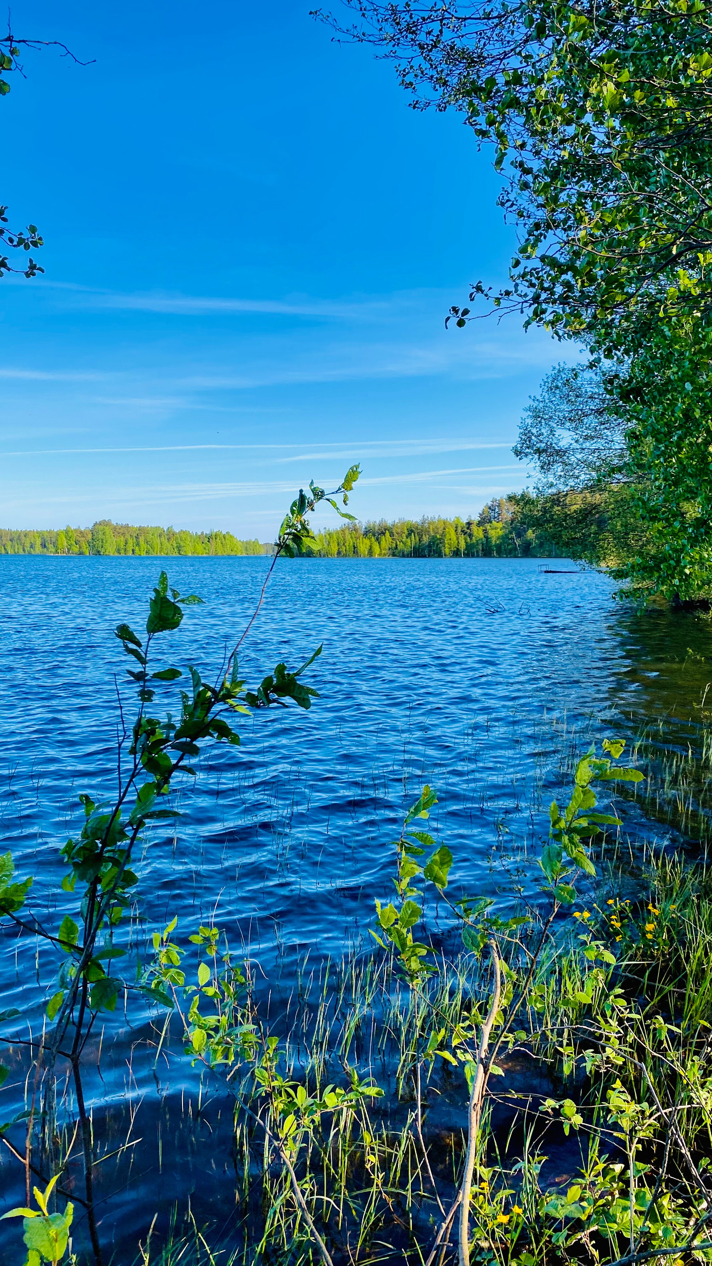 Фото Ладога Хоум - на берегу озера