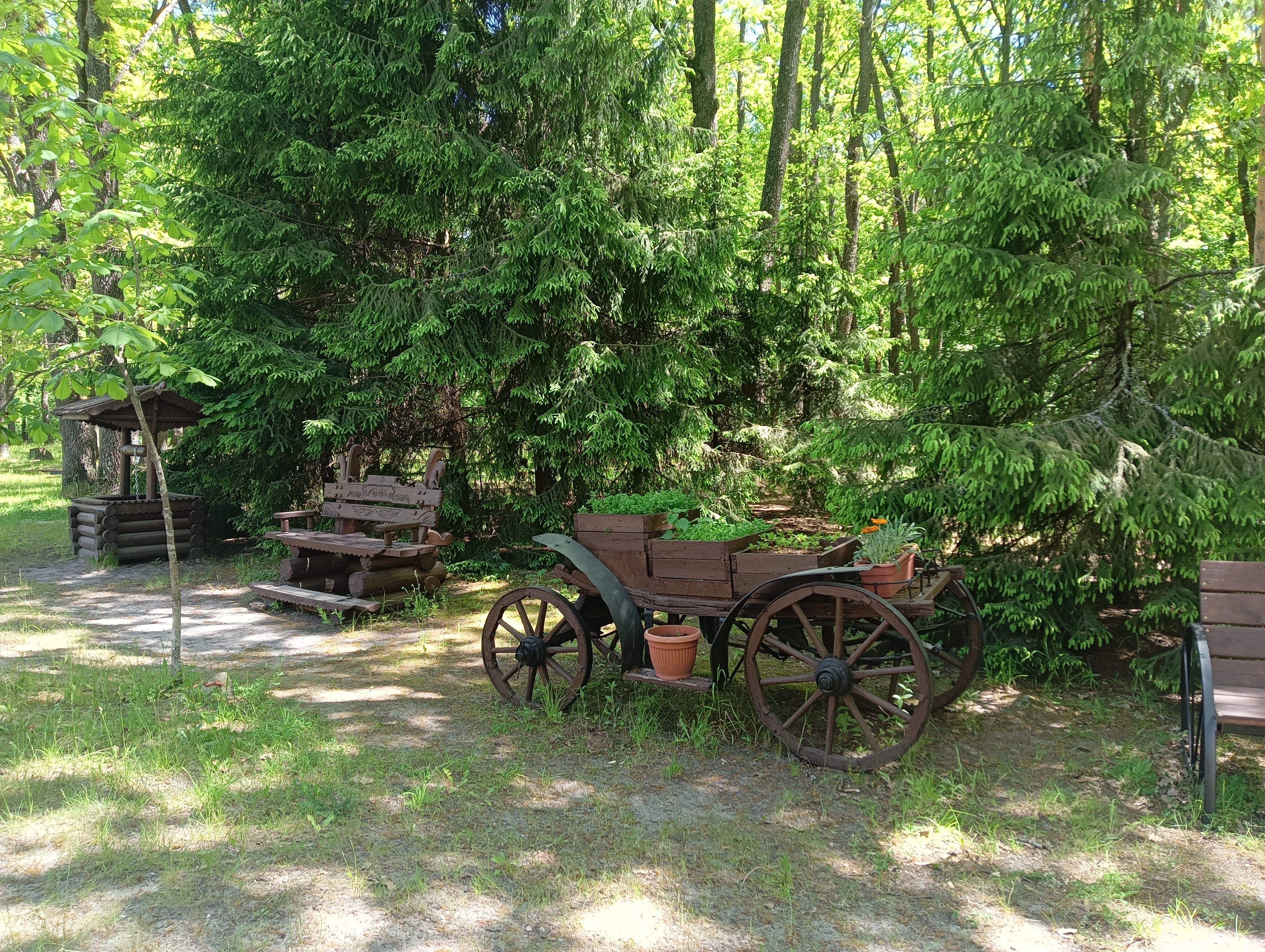 Фото Рахоль