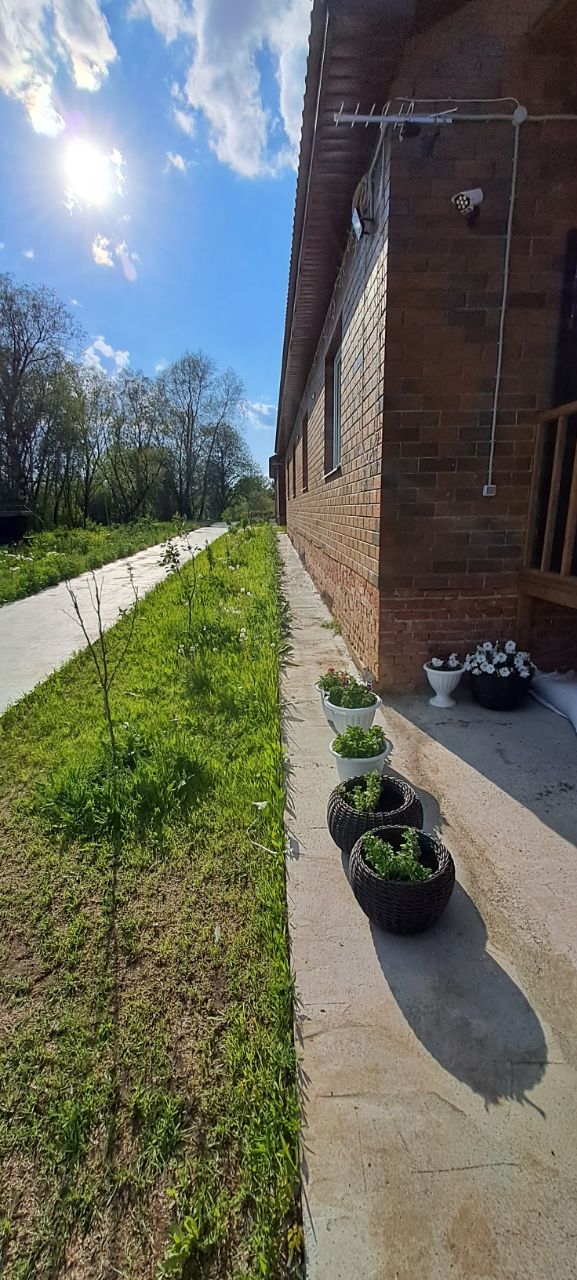 Фото Ёлки-Палки