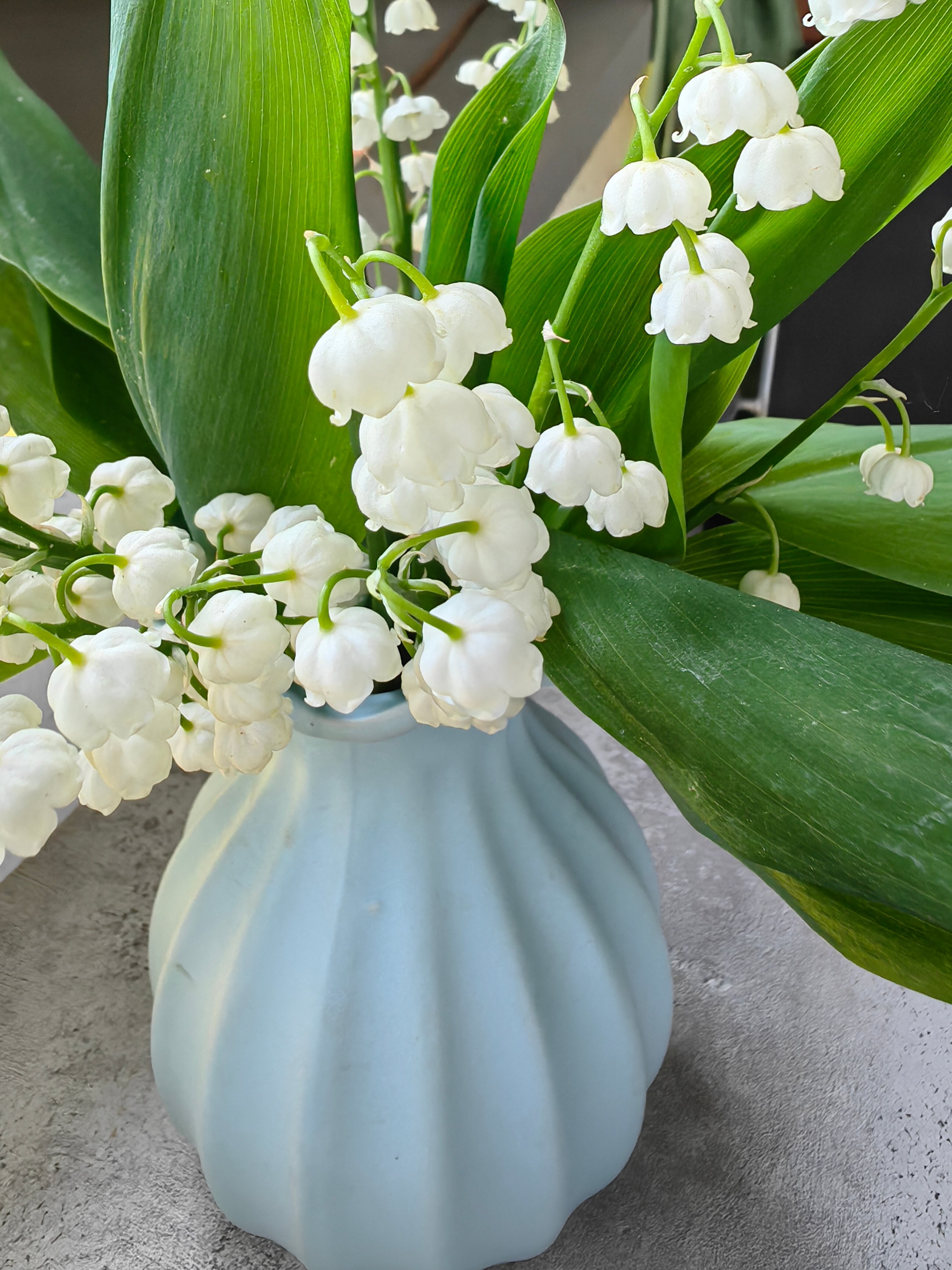 Фото Тимофеево