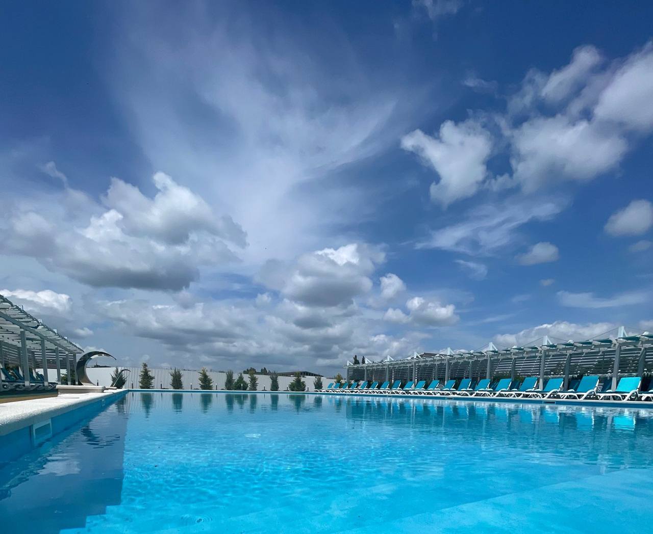 Фото Белый кит