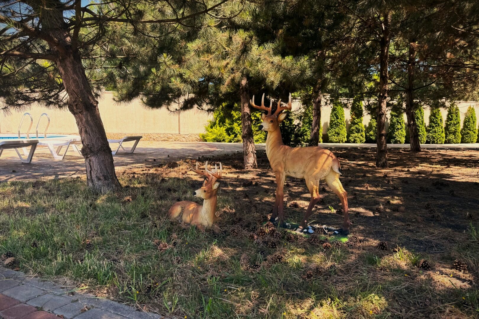 Фото Серенити