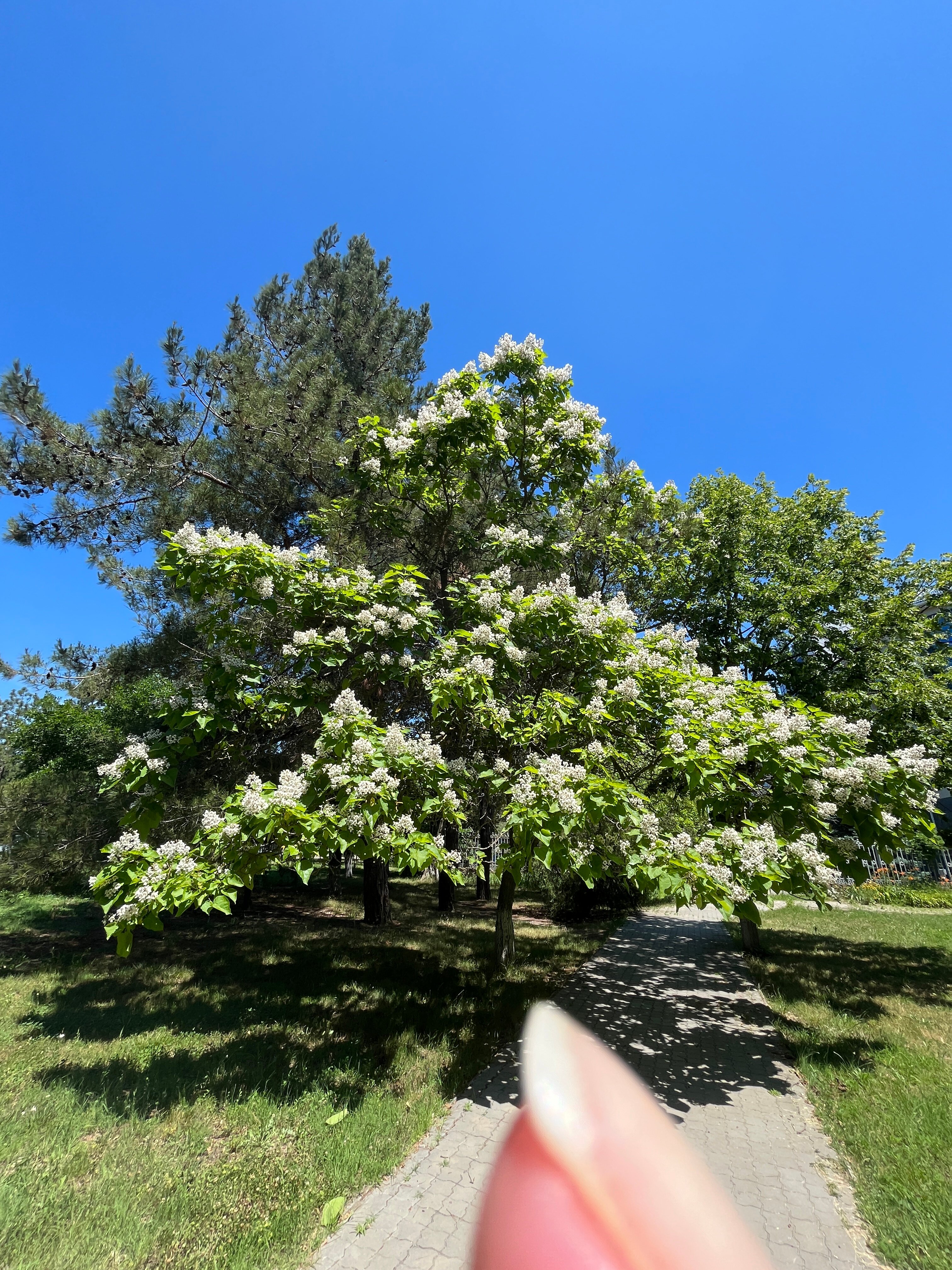 Фото ГринПарк