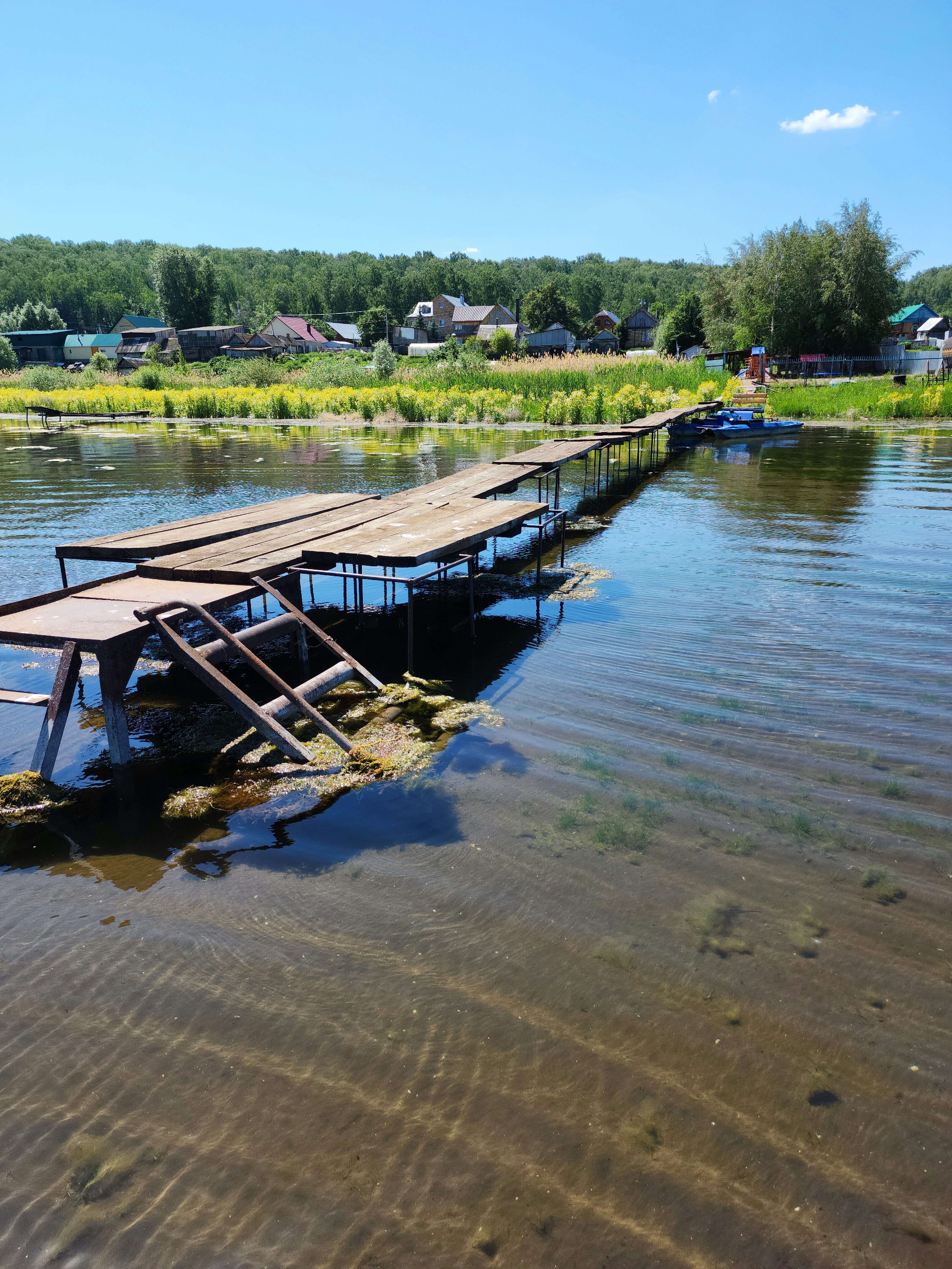 Фото Берёзка Кандрыкуль