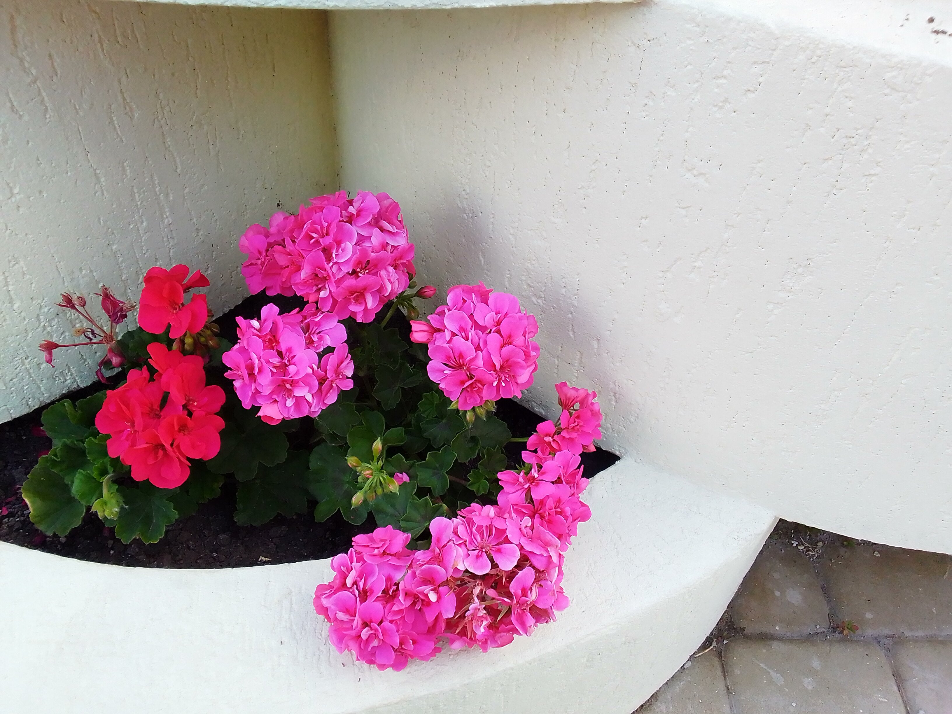 Фото Позитив