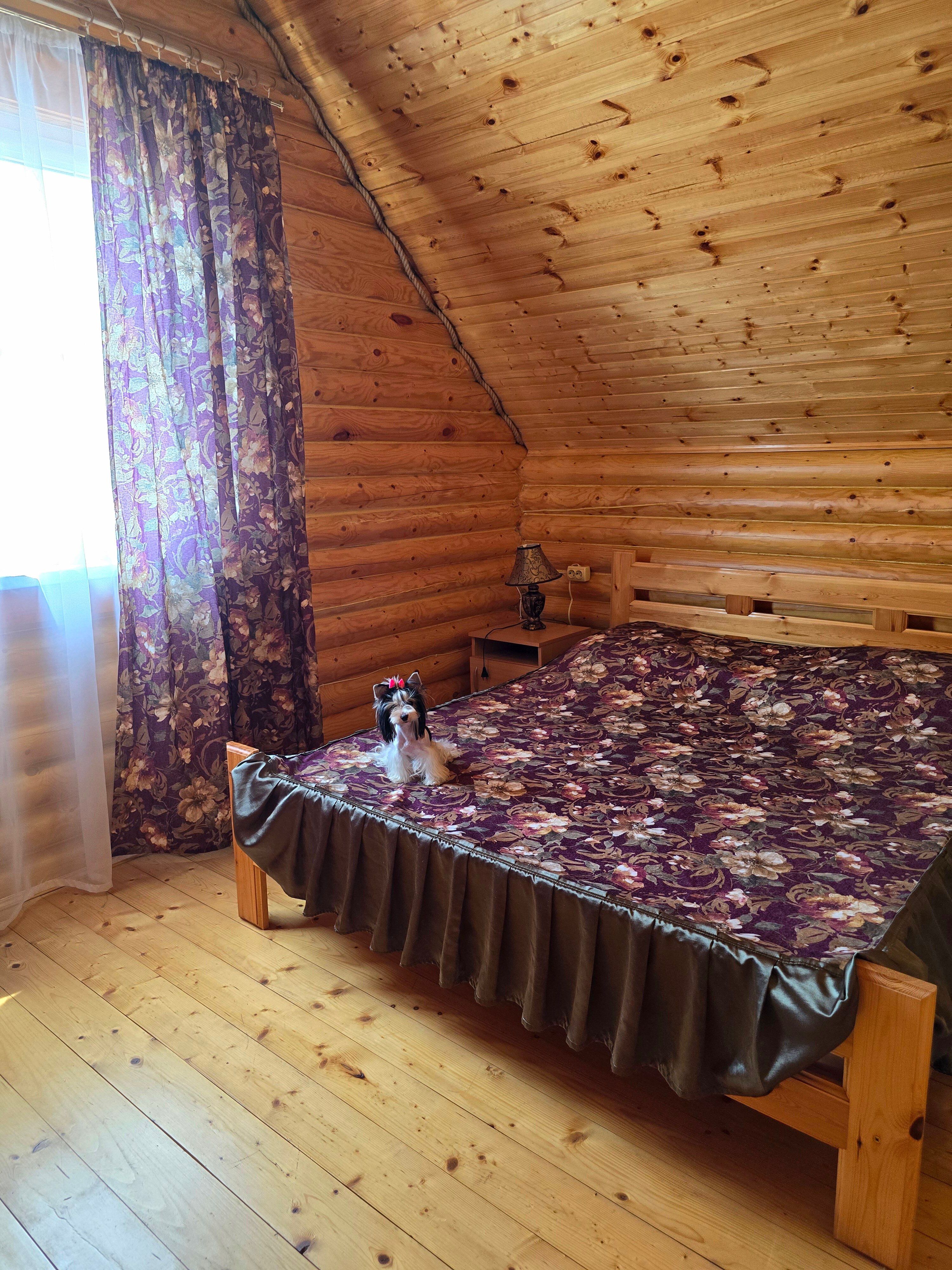 Фото База отдыха Лесная Дача