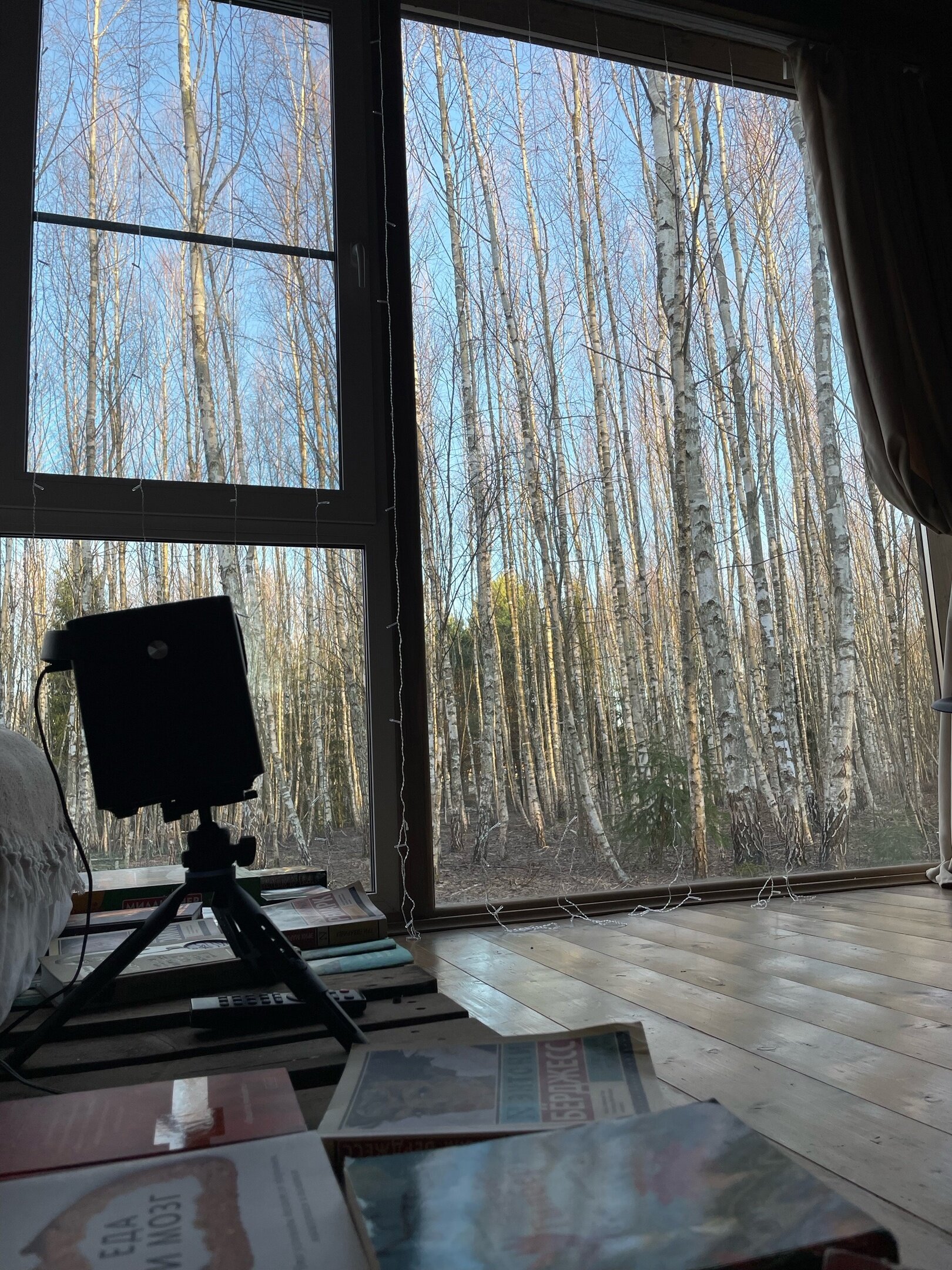 Фото Два зайца