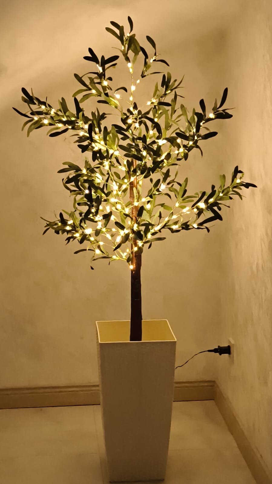 Фото Прибой Дербента