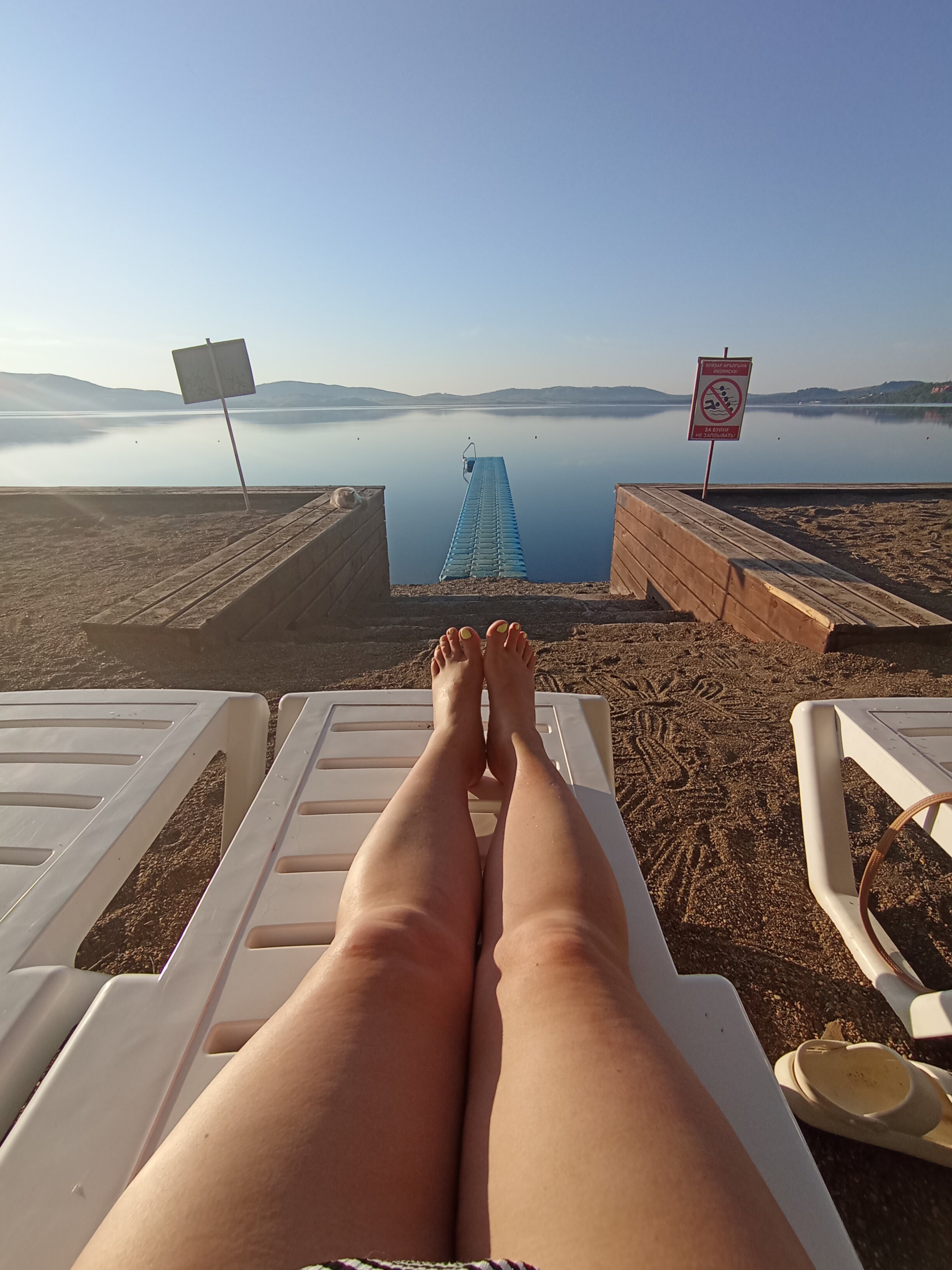 Фото Берёзки