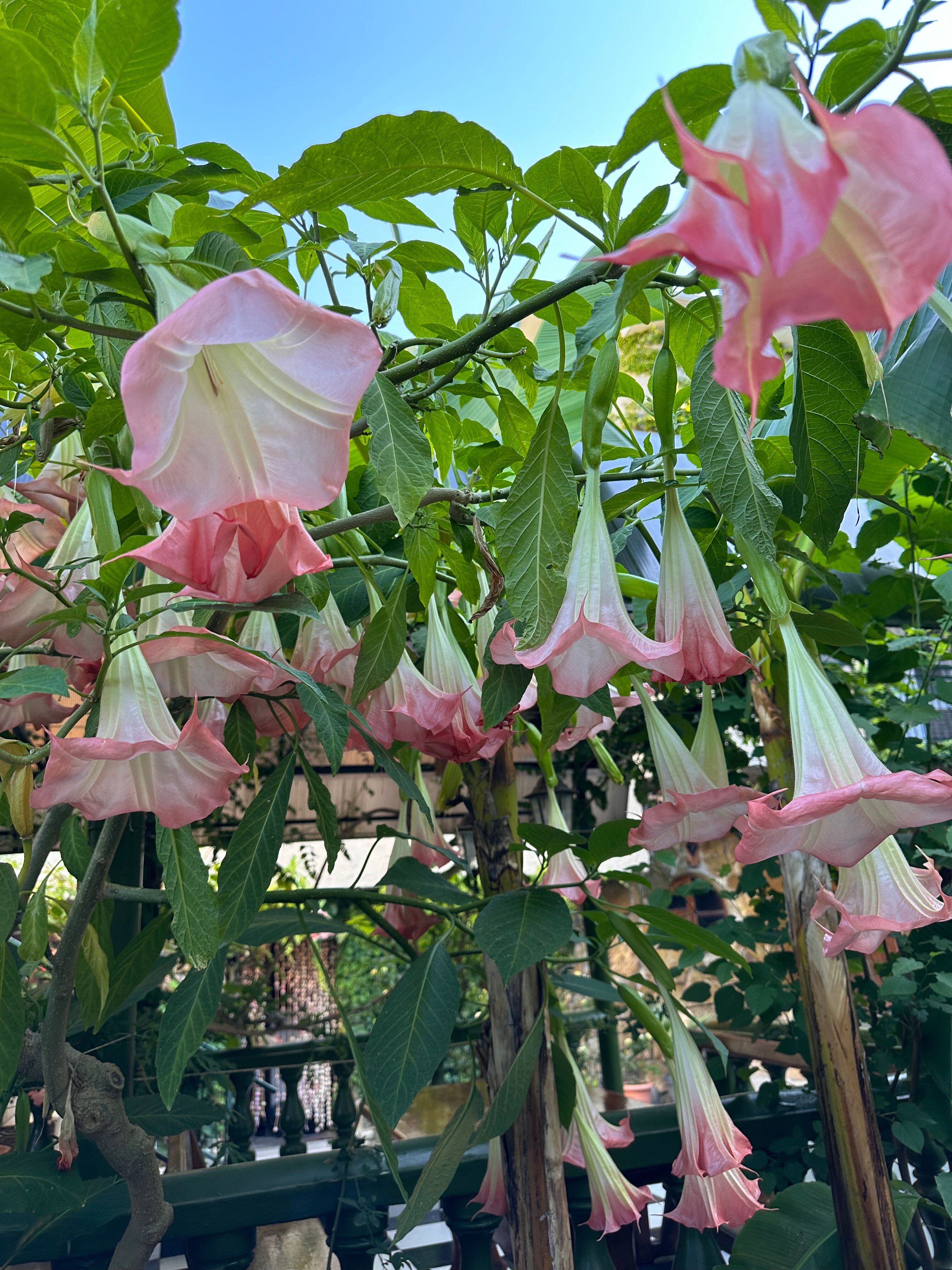 Фото Тихая Гавань