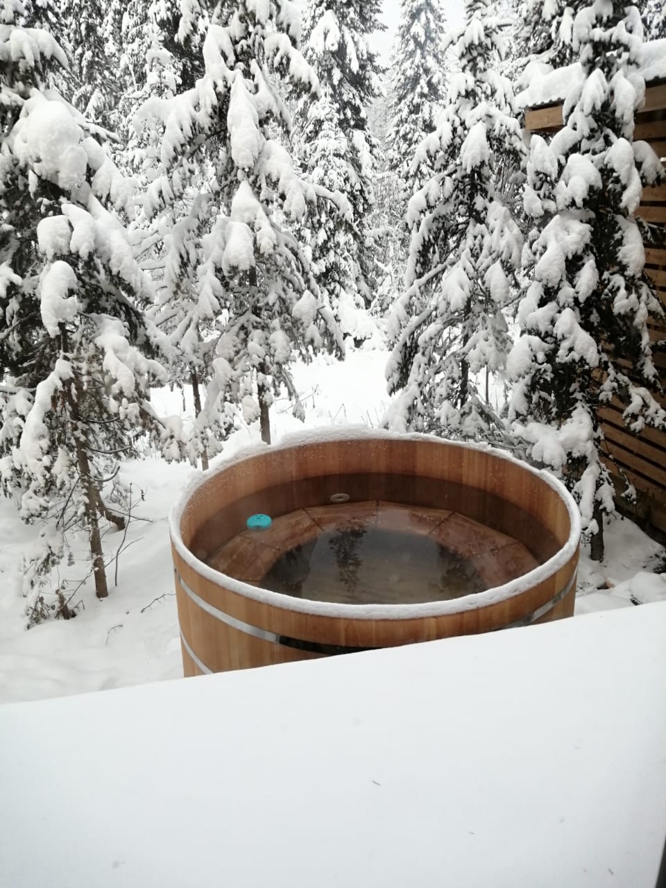 Фото Альпика Хаус