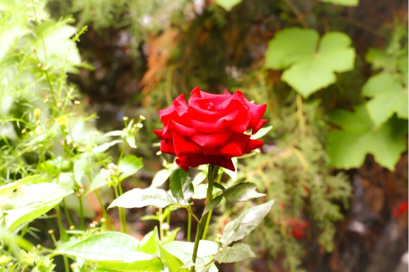 Фото Домашний уют