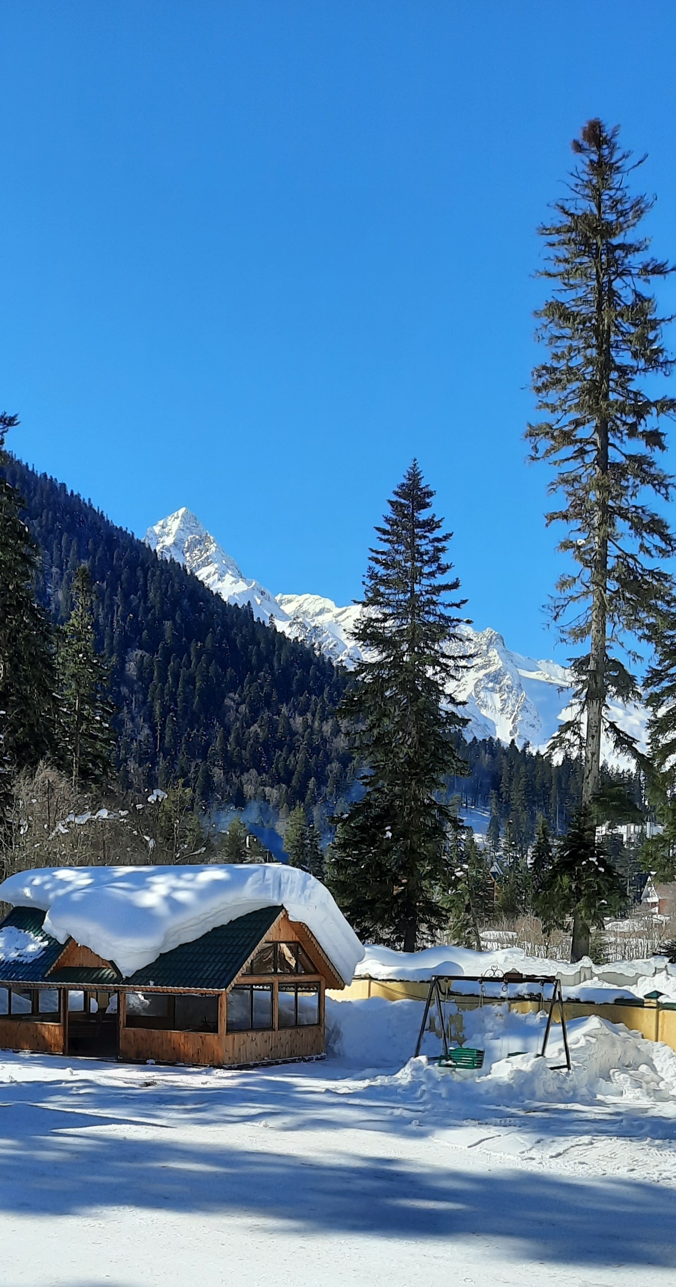 Фото Фор Рест