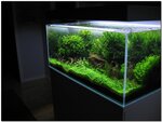 Akvasbor (Krasnykh Fortov Street, 49А), aquariums