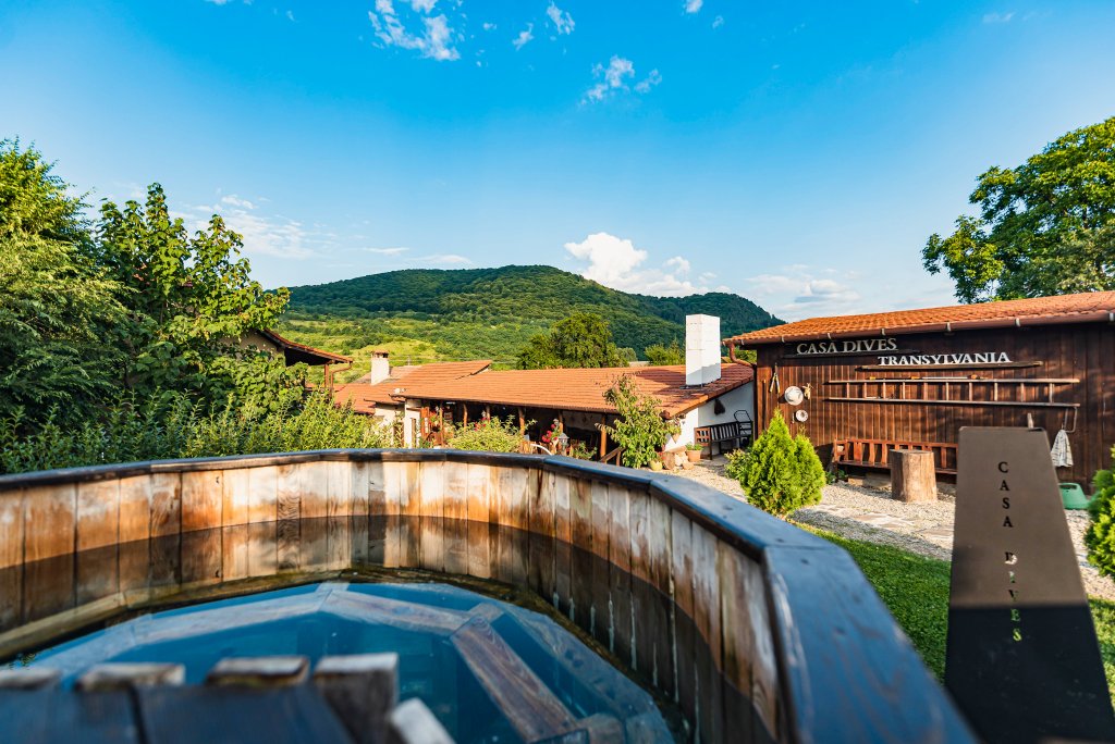 Фото Casa Dives - Transylvania