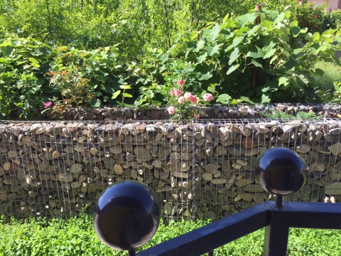 Фото Модерато