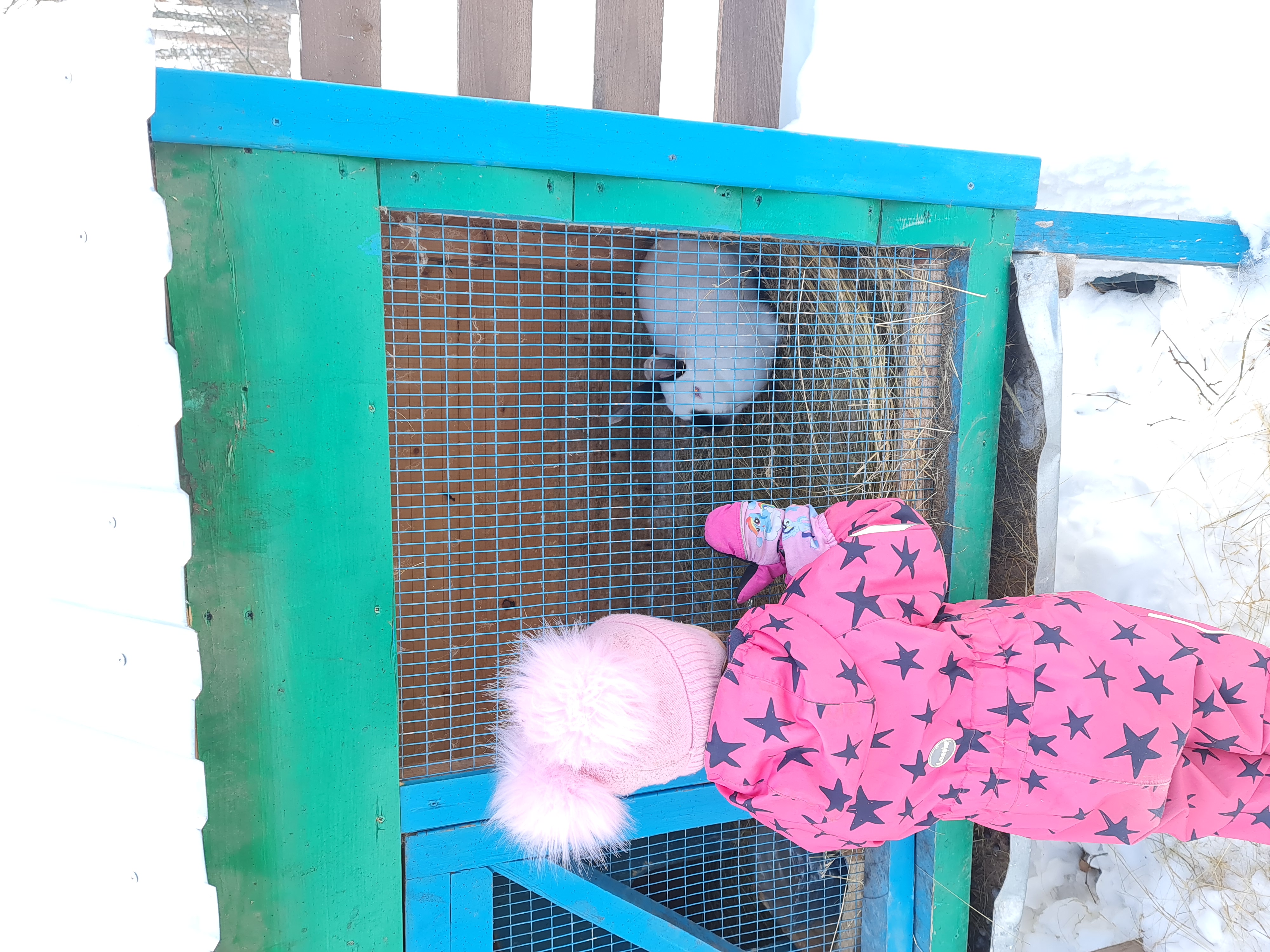 Фото Приокские зори