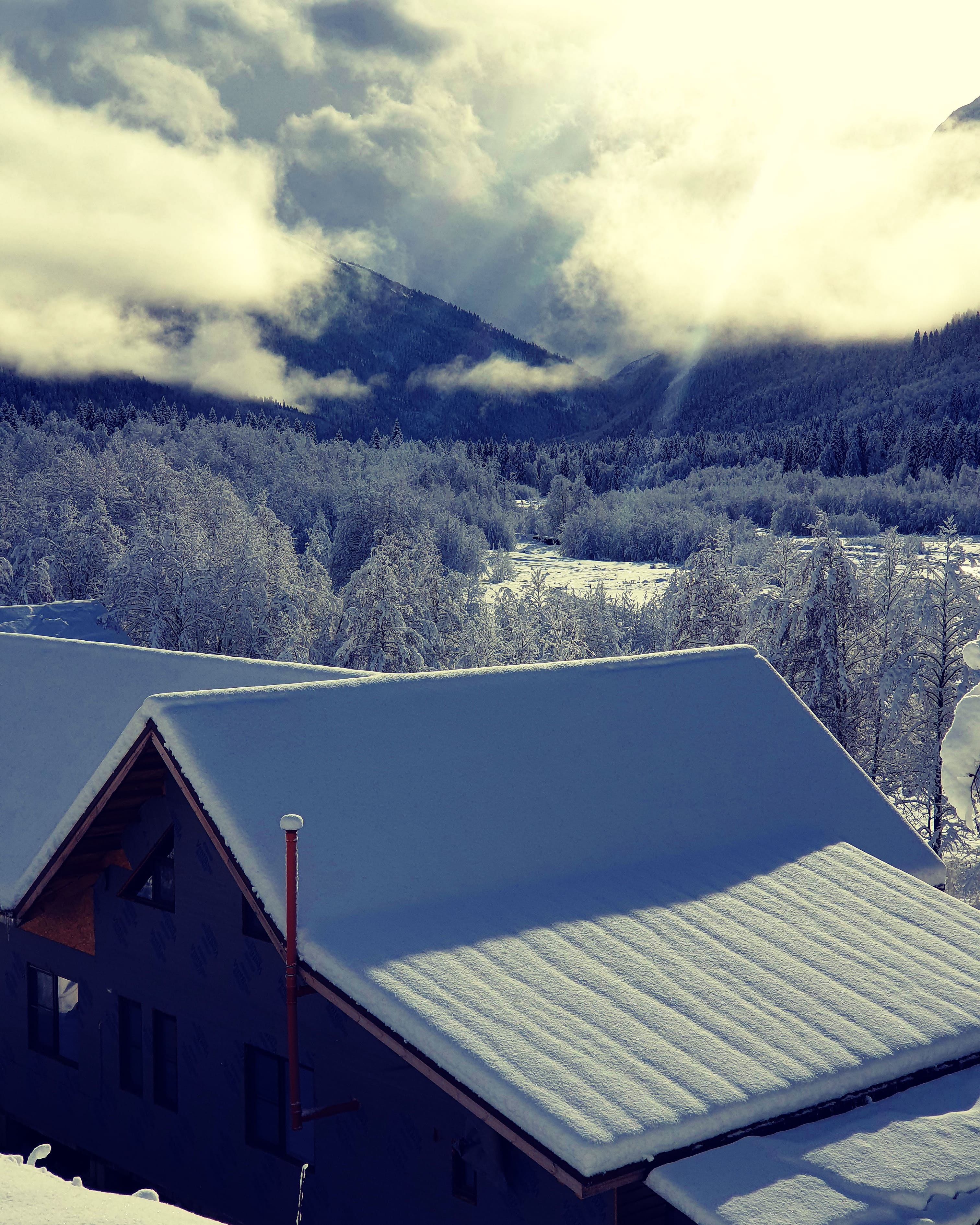 Фото ПихтаHouse