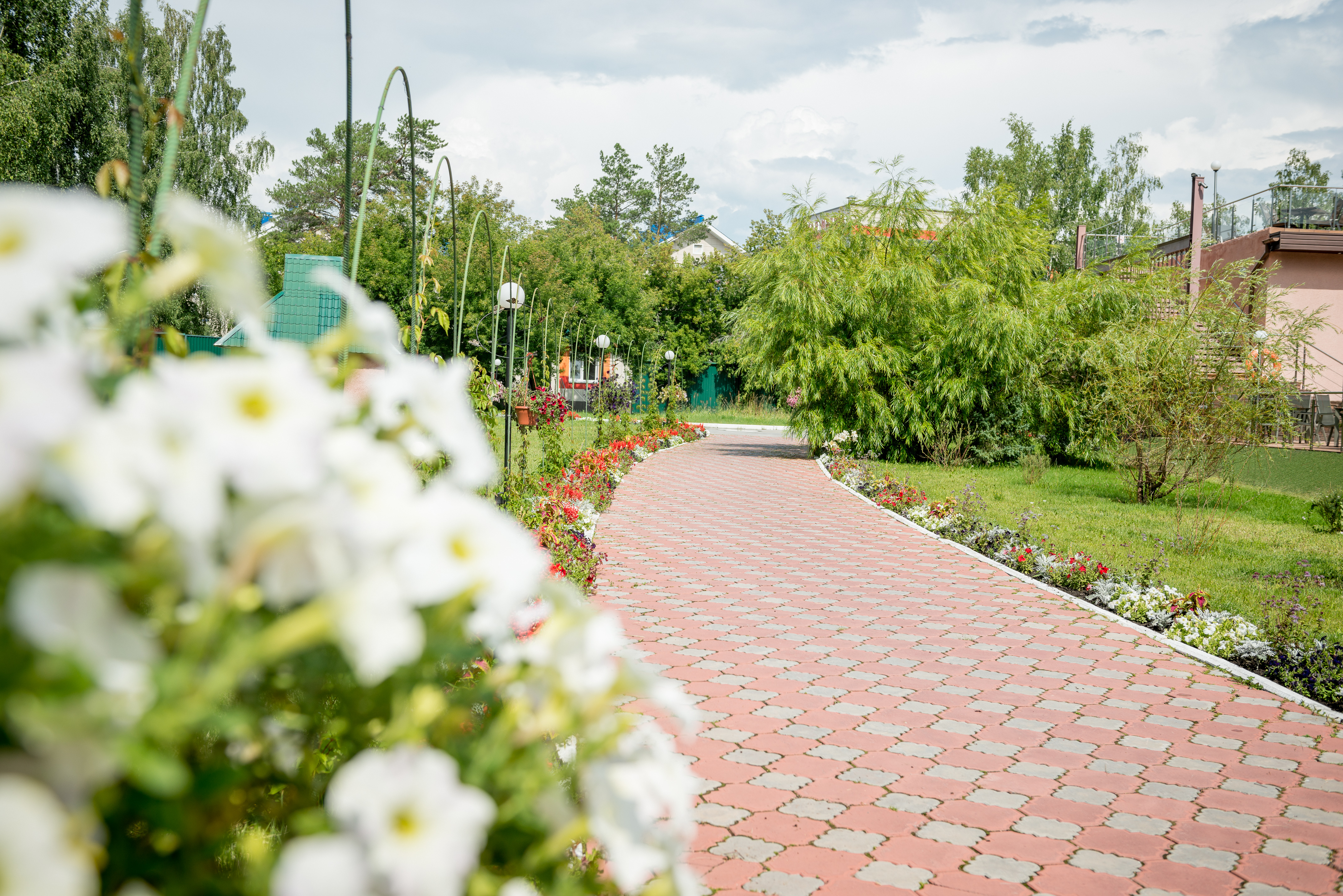 Фото Борвиха