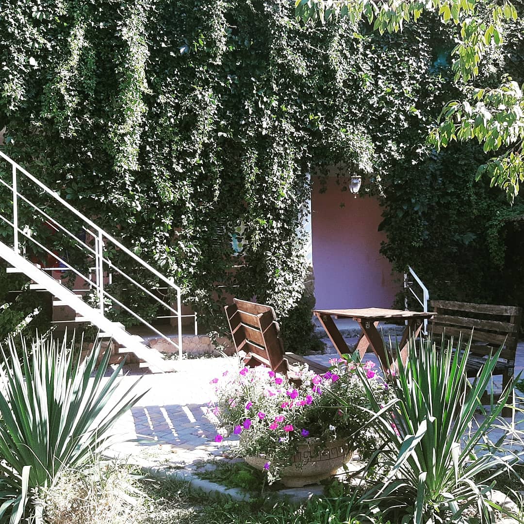 Фото Фламинго