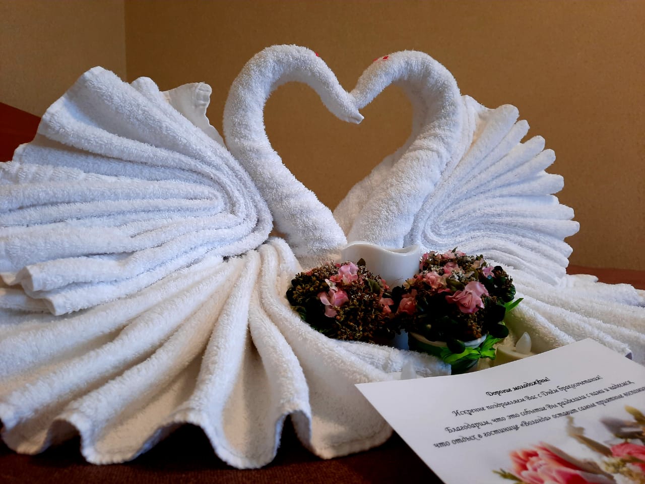 Фото Мартон Вологда