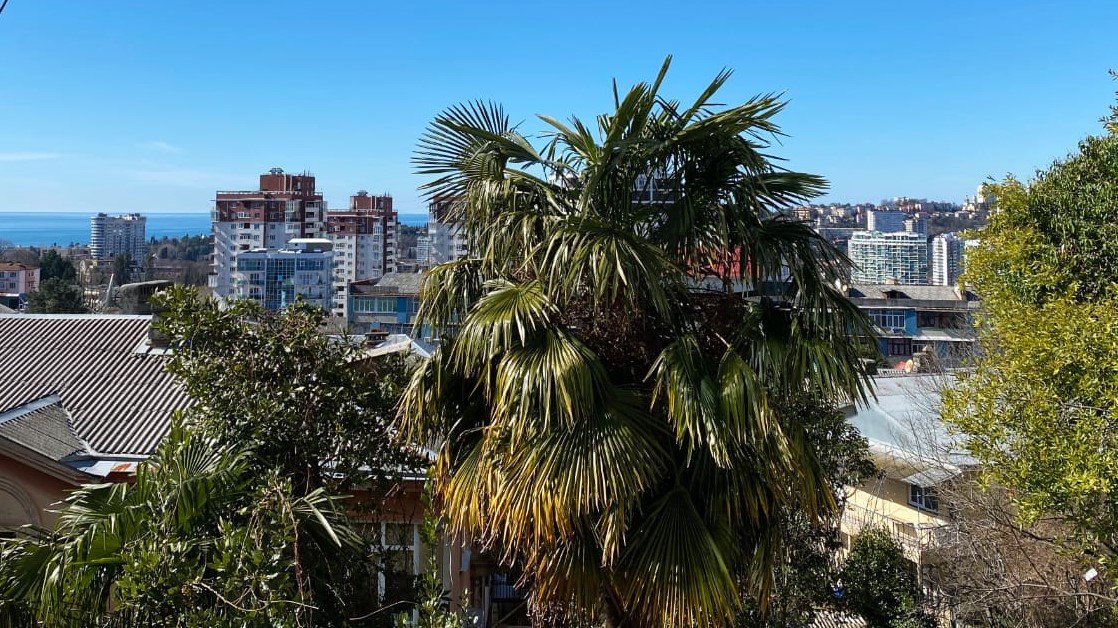 Фото Альпийская