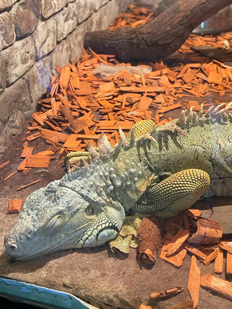 Фото Сказка ИНН