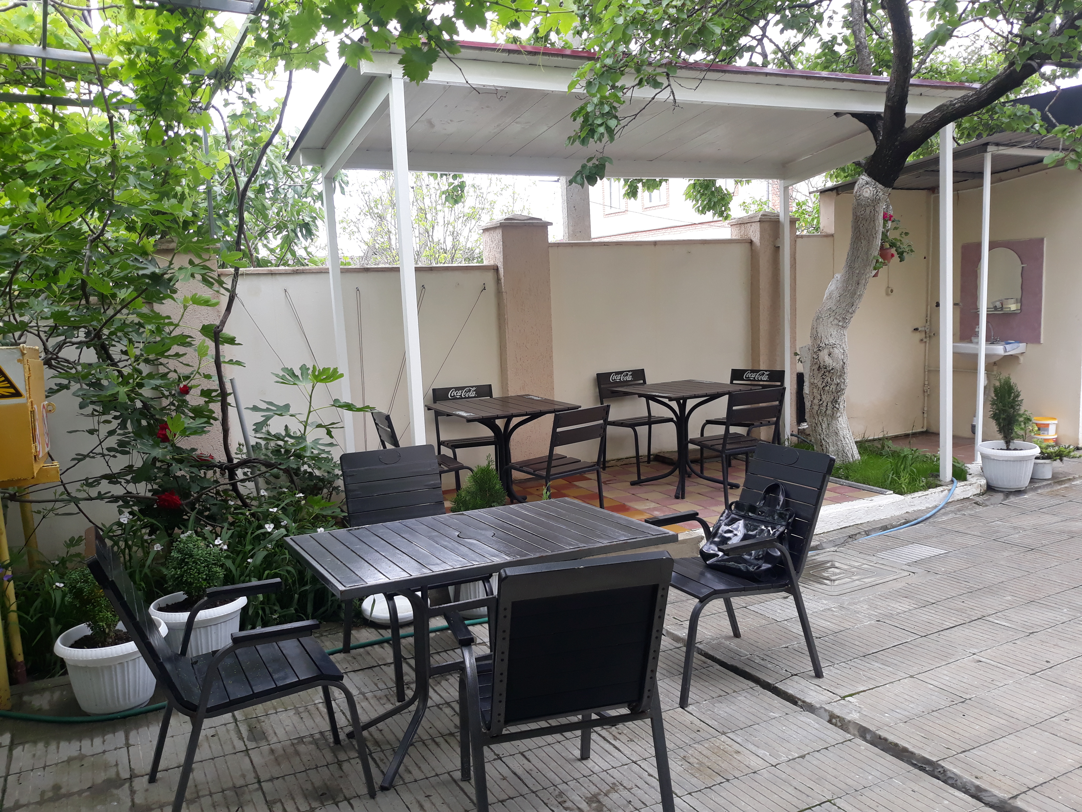 Фото Друзья