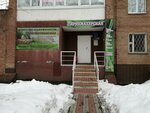 Подстепкинское (Topolinaya Street, 14), agencia inmobiliaria